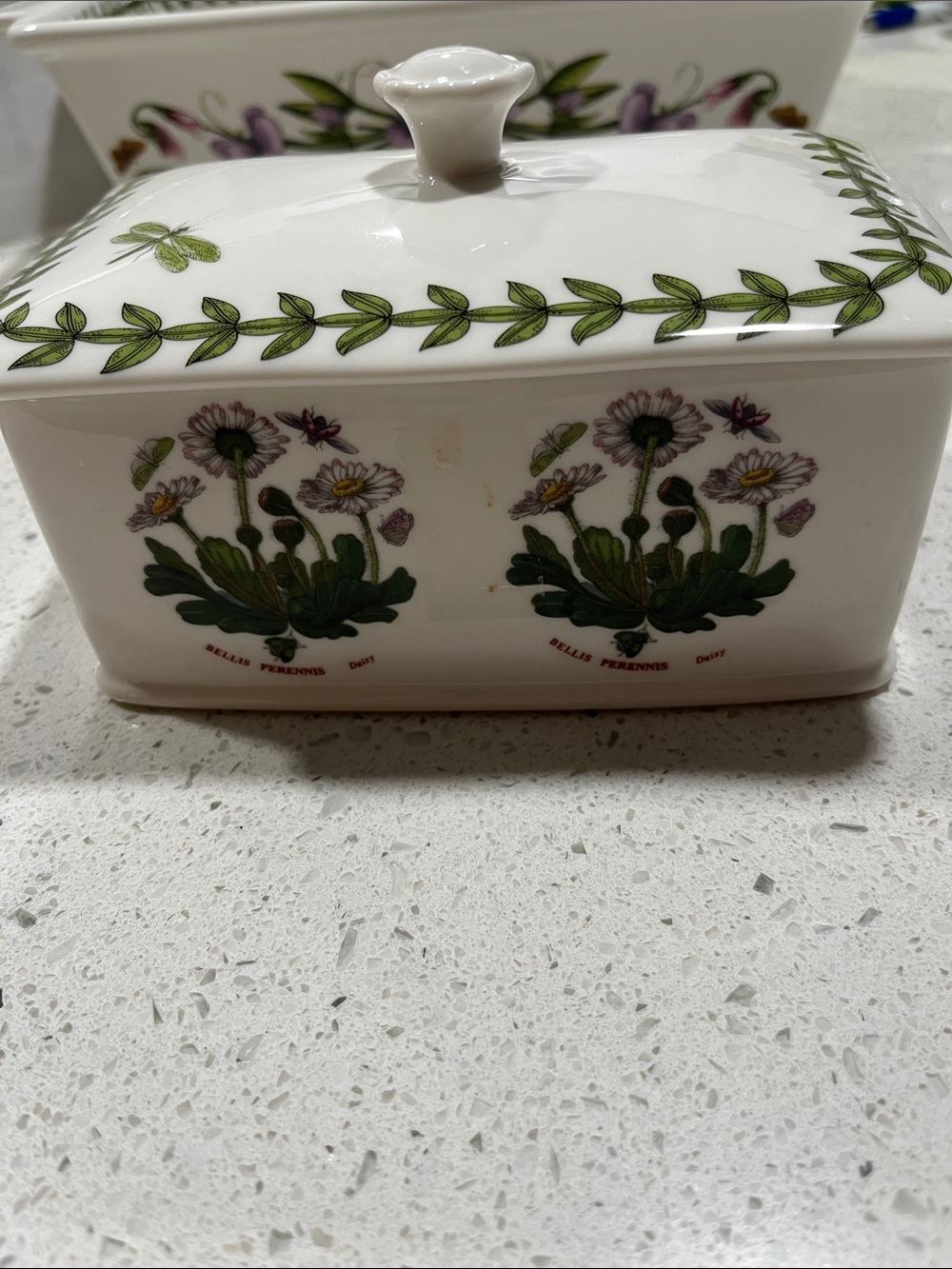 Portmeirion VTG Botanic Garden Ceramic Floral Cyclamen Covered Butter Dish NWOT